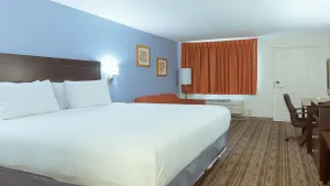 Image of Hotel South Tampa & Suites