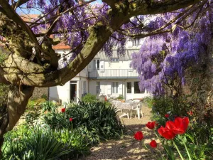 Image of Hôtel De La Ferté