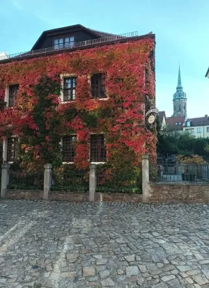 Image of Schloss-Schänke garni