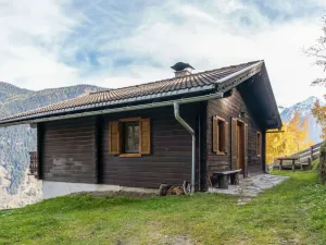 Image of Chalet in Moertschach in Carinthia with garden