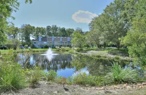 Image of Spring lake 514