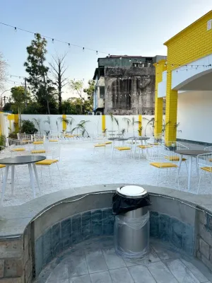 Image of Bingo Botique