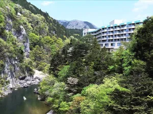 Image of Kinugawa Royal Hotel