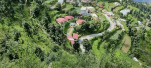 Image of Cosmo Cottages