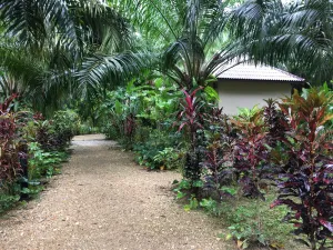 Image of Khao Sok Palm Garden Resort