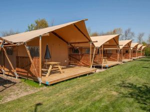 Image of Nice Tent Lodge With Kitchen, Breda Only 10 km