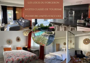 Image of Les logis du forgeron, Gites de groupe entre Loire & vignes