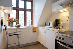 Image of Cozy One-bedroom Apartment in Copenhagen Downtown