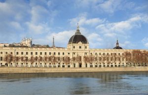 Image of InterContinental Lyon - Hotel Dieu by IHG