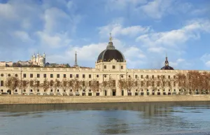 Image of InterContinental Lyon - Hotel Dieu by IHG