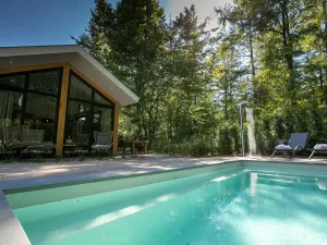 Image of Luxury lodge with private swimming pool
