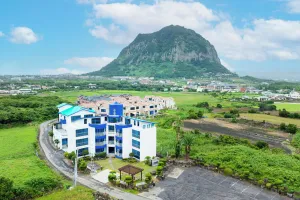 Image of Unicorn Jeju