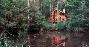 Image of Woodlands rainforest retreat