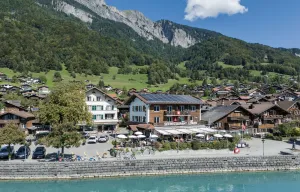 Image of Hotel Brienzerburli