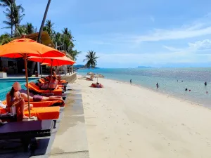 Image of Mimosa Resort & Spa