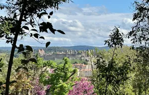Image of Chambre avec vue