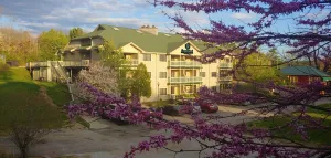 Image of Grand Wood Suites