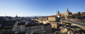 Image of Swiss Wine by Fassbind