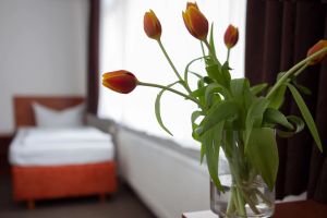 Image of Hotel Eckstein
