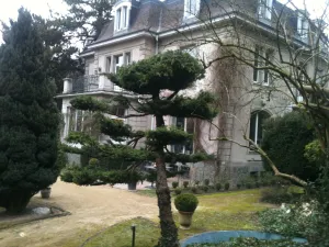 Image of Peonia at Home