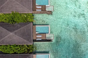 Image of dusitD2 Feydhoo Maldives - All Inclusive Resort - with Free Transfers