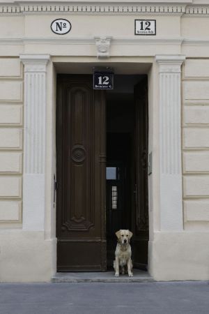 Image of Old Vienna Apartments