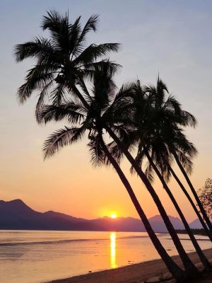 Image of Cardwell Beachfront Motel