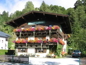 Image of Apartment in Saalbach-Hinterglemm near Ski Area