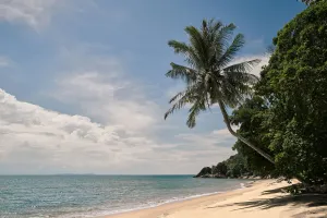 Image of The Boathouse Pulau Tioman