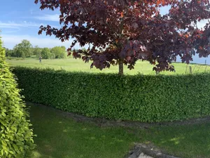 Image of Elegant Chalet in Malmedy With Private Garden