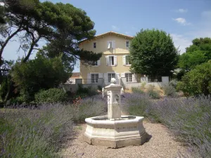 Image of Château Borie Neuve