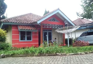 Image of Kota Bunga C