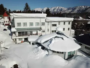Image of The Phat Packers - Hostel