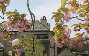 Image of Honest Lawyer Hotel