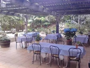 Image of Les Fleurs Bleues