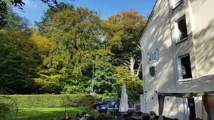 Image of Wald-Hotel