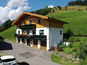 Image of Modern Holiday Home in Maria Alm near Ski Area