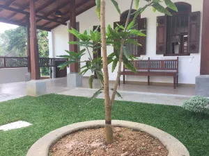 Image of Natures Lodge-Galle