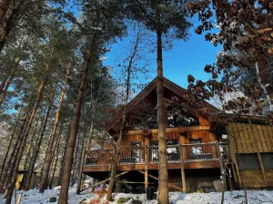 Image of Pine Marten Lodge