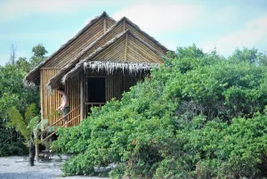 Image of Tree Bar Hostel
