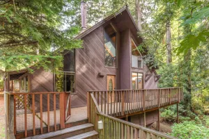 Image of Cozy Treehouse