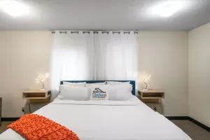 Image of Bison at Buffalo Jump