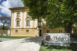 Image of Hotel Hofwirt