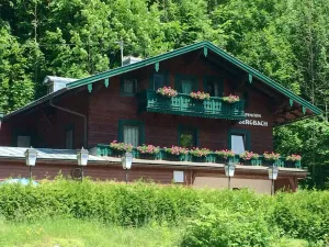 Image of Bergbach