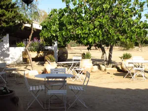 Image of Cacharel