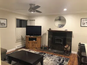 Image of Fireside at the Village