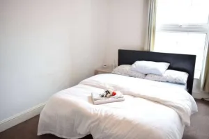 Image of Lovely Victorian Flat for 6 in Stoke Newington