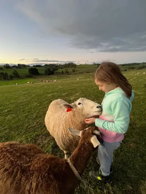 Image of Jilly Park Farmstay Experience Discover Authentic Farm Life Complimentary Breakfast Included