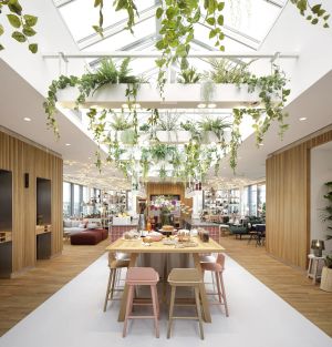 Image of Zoku Vienna