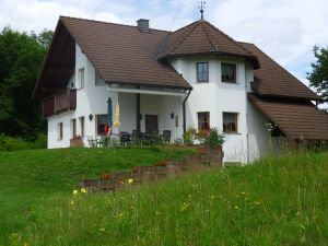 Image of Flat Strasbourg - Europapark / Wallaston